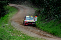 Somerset Stages Rally Chargot Woods_3257
