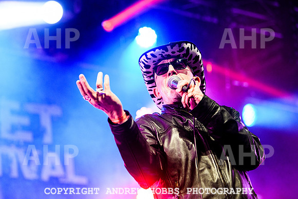 Alabama 3 - Watchet Music Festival 2022-8925
