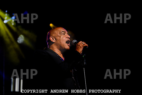 Odyssey - Watchet Music Festival 2022-8413