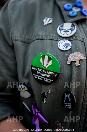 Minehead Badger Cull Protest_8685