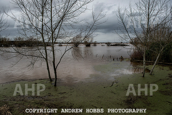 Flooding in Somerset, UK