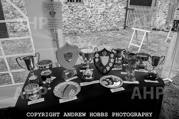 Wambrook Flower Show Centenary 194