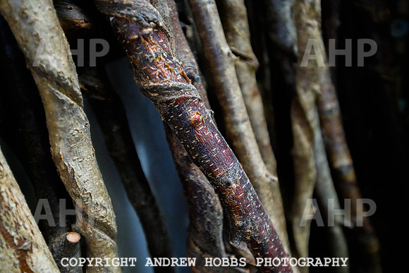 Artisan Sticks May 25-0105