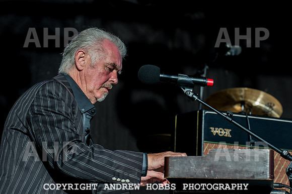 Watchet Festival 2016-5567