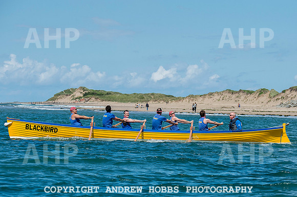 Appledore Gig Rowing Regatta 2014 022
