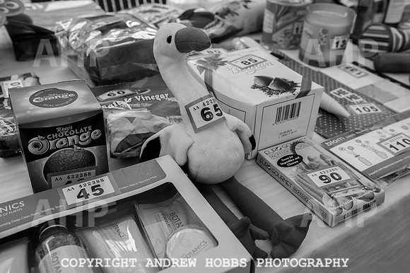 Wambrook Flower Show Centenary 196