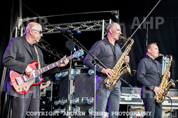 Watchet Festival 2016-5590