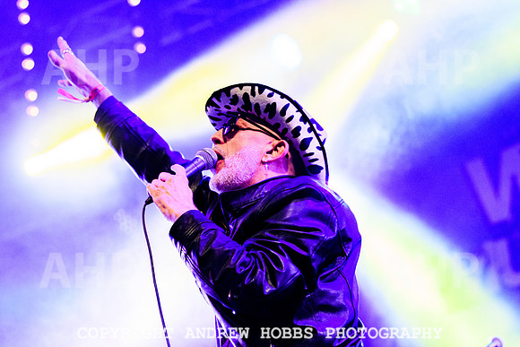 Alabama 3 - Watchet Music Festival 2022-9086