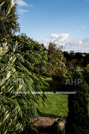 Vellacott Garden 2016-3602
