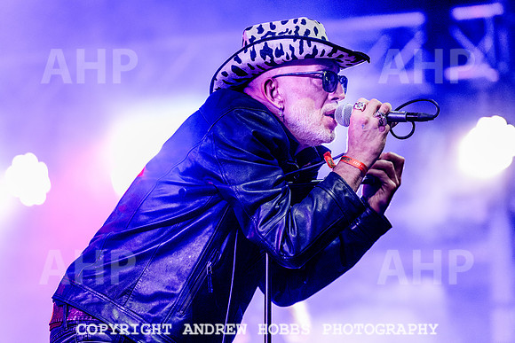 Alabama 3 - Watchet Music Festival 2022-8969
