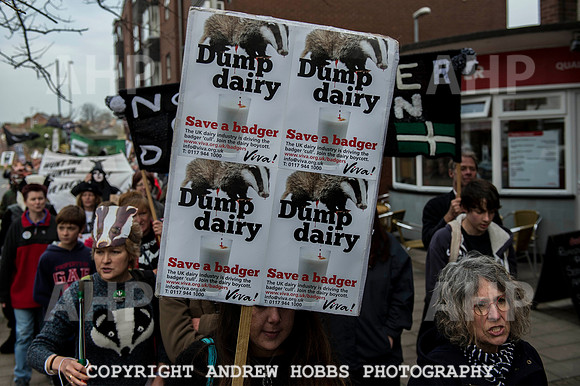 Exeter_march_ against_the_badger_cull 045