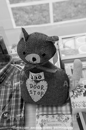 Wambrook Flower Show Centenary 195