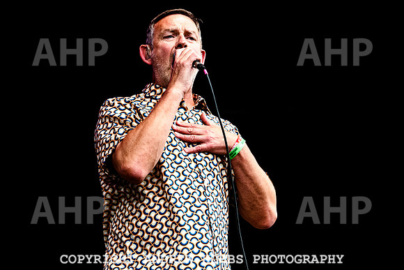 Inspiral Carpets - Beautifdays 2024-9195