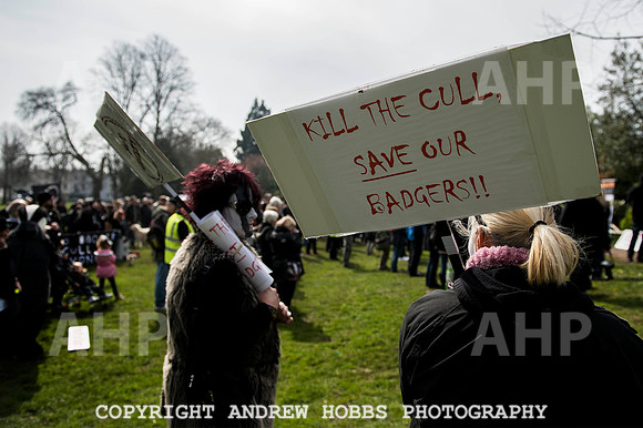 Exeter_march_ against_the_badger_cull 055